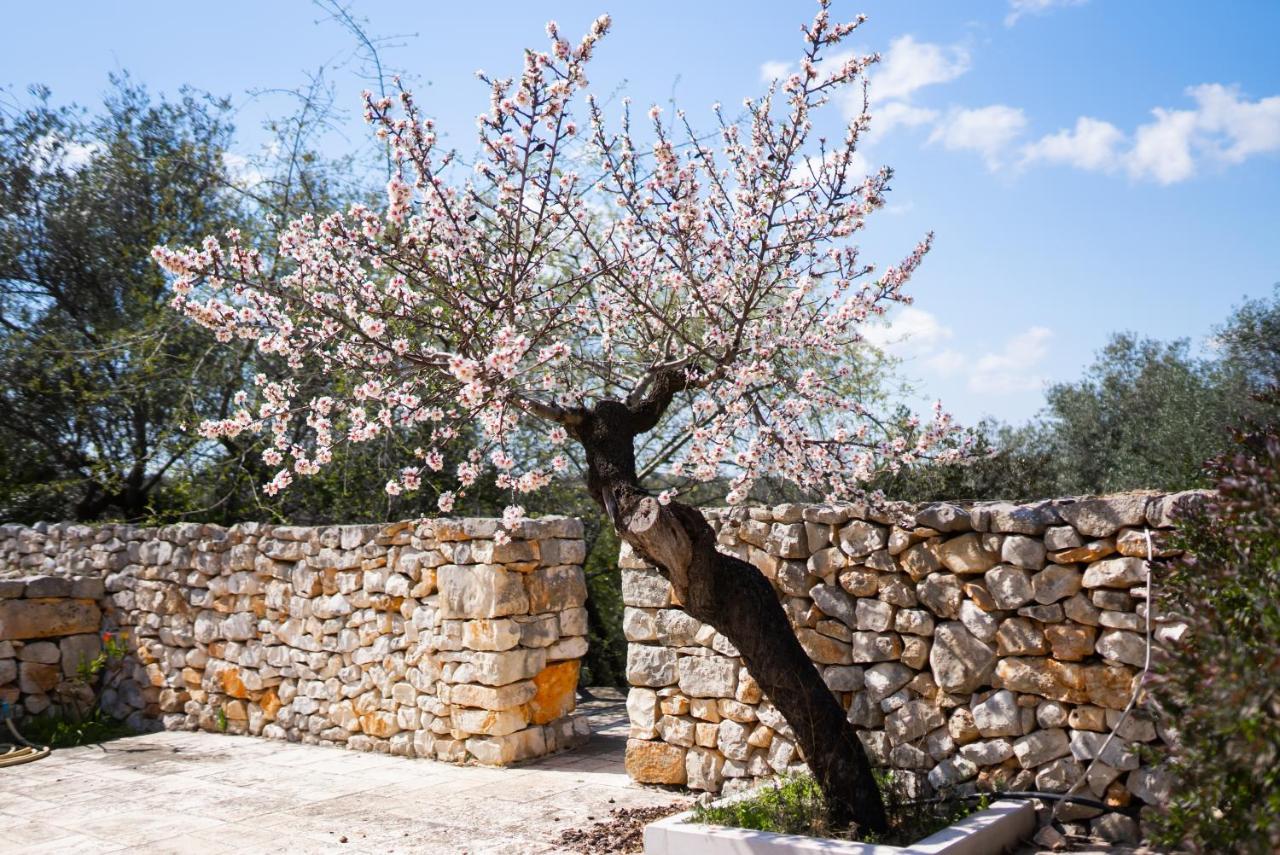 Masseria Montepaolo Dimora Di Charme Conversano Eksteriør bilde